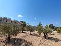 Hervorragende Villa mit 4 Schlafzimmern, Pool und unschlagbarer Aussicht in Fortuna. in Alicante Dream Homes API 1122