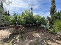 Ruim huis met garage en groot perceel: een huis met veel potentieel in Alicante Dream Homes API 1122