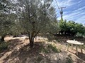 Ruim huis met garage en groot perceel: een huis met veel potentieel in Alicante Dream Homes API 1122