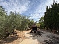 Ruim huis met garage en groot perceel: een huis met veel potentieel in Alicante Dream Homes API 1122