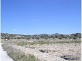 Se vende terreno en (Rincon Del Moro.) Sax  in Alicante Dream Homes API 1122