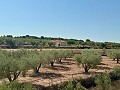Villa de 3 chambres parfaite pour les amoureux des chevaux in Alicante Dream Homes API 1122