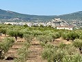 Villa de 3 chambres parfaite pour les amoureux des chevaux in Alicante Dream Homes API 1122
