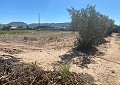Schöne Villa mit 3 Schlafzimmern in Salinas in der Nähe der Stadt. in Alicante Dream Homes API 1122