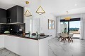 Stunning New Build Modern Bungalows  in Alicante Dream Homes API 1122