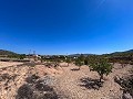 Great opportunity in El Xinorlet: house to renovate with cave and land in Alicante Dream Homes API 1122