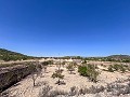 Great opportunity in El Xinorlet: house to renovate with cave and land in Alicante Dream Homes API 1122