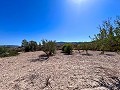 Great opportunity in El Xinorlet: house to renovate with cave and land in Alicante Dream Homes API 1122