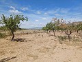 New Build Villa opportunity for completion in 6/8 months in Pinoso. in Alicante Dream Homes API 1122