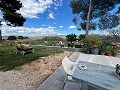 Propriété d'investissement avec des opportunités infinies in Alicante Dream Homes API 1122