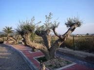 Grote nieuwbouw villa met zwembad in Alicante Dream Homes API 1122