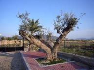 Grote nieuwbouw villa met zwembad in Alicante Dream Homes API 1122
