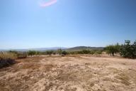 Country house with 100.000M2 olives and Almonds in Alicante Dream Homes API 1122