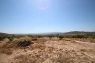 Country house with 100.000M2 olives and Almonds in Alicante Dream Homes API 1122
