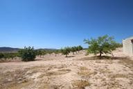 Country house with 100.000M2 olives and Almonds in Alicante Dream Homes API 1122