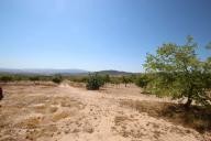 Country house with 100.000M2 olives and Almonds in Alicante Dream Homes API 1122