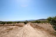 Country house with 100.000M2 olives and Almonds in Alicante Dream Homes API 1122