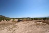 Country house with 100.000M2 olives and Almonds in Alicante Dream Homes API 1122