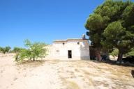 Country house with 100.000M2 olives and Almonds in Alicante Dream Homes API 1122