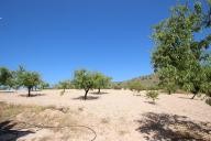 Country house with 100.000M2 olives and Almonds in Alicante Dream Homes API 1122