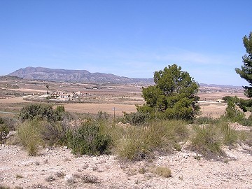 Bouwgrond in Pinoso