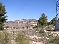 Bouwgrond in Pinoso in Alicante Dream Homes API 1122