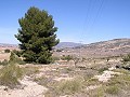 Bouwgrond in Pinoso in Alicante Dream Homes API 1122
