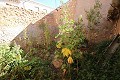 Casa de Pueblo en Raspay a reformar in Alicante Dream Homes API 1122