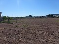 Aspe, plot for sale! - Building Plots for sale in Aspe, Alicante | Alicante, Aspe in Alicante Dream Homes API 1122