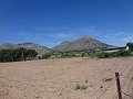 Aspe, plot for sale! - Building Plots for sale in Aspe, Alicante | Alicante, Aspe in Alicante Dream Homes API 1122