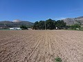 Aspe, plot for sale! - Building Plots for sale in Aspe, Alicante | Alicante, Aspe in Alicante Dream Homes API 1122