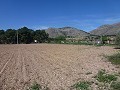 Aspe, plot for sale! - Building Plots for sale in Aspe, Alicante | Alicante, Aspe in Alicante Dream Homes API 1122
