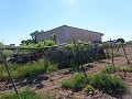 Aspe, plot for sale! - Building Plots for sale in Aspe, Alicante | Alicante, Aspe in Alicante Dream Homes API 1122