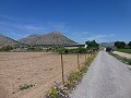 Aspe, plot for sale! - Building Plots for sale in Aspe, Alicante | Alicante, Aspe in Alicante Dream Homes API 1122