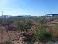 Urban Land for sale - Building Plots for sale in Macisvenda, Murcia | Alicante, Macisvenda in Alicante Dream Homes API 1122