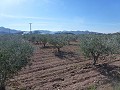 Urban Land for sale - Building Plots for sale in Macisvenda, Murcia | Alicante, Macisvenda in Alicante Dream Homes API 1122
