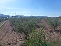 Urban Land for sale - Building Plots for sale in Macisvenda, Murcia | Alicante, Macisvenda in Alicante Dream Homes API 1122