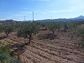 Urban Land for sale - Building Plots for sale in Macisvenda, Murcia | Alicante, Macisvenda in Alicante Dream Homes API 1122