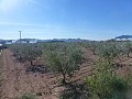 Urban Land for sale - Building Plots for sale in Macisvenda, Murcia | Alicante, Macisvenda in Alicante Dream Homes API 1122