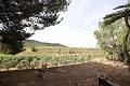 Maison de campagne avec piscine dans un bel endroit in Alicante Dream Homes API 1122