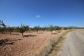 Terrain constructible avec amandiers in Alicante Dream Homes API 1122