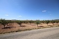 Terrain constructible avec amandiers in Alicante Dream Homes API 1122