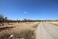 Terrain constructible avec amandiers in Alicante Dream Homes API 1122