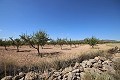 Terrain constructible avec amandiers in Alicante Dream Homes API 1122