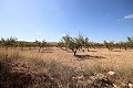 Terrain constructible avec amandiers in Alicante Dream Homes API 1122