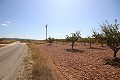 Terrain constructible avec amandiers in Alicante Dream Homes API 1122