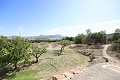 Detached Country House close to Monovar with great views in Alicante Dream Homes API 1122
