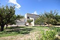 Detached Country House close to Monovar with great views in Alicante Dream Homes API 1122