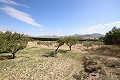 Detached Country House close to Monovar with great views in Alicante Dream Homes API 1122