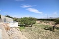 Detached Country House close to Monovar with great views in Alicante Dream Homes API 1122